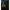 Aragaz Prologic Blackfire C Series