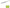 STICK SHAD COLMIC 5cm LIMONE