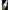 Atractant Strike Pro Pro Aroma Stridie 100ml