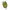 AVERTIZOR JAXON PRO CARP CAMOU SENSITIVE 7G VERDE
