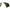 Acoperis Cort Avid Exo 2 Rv Storm Cap Wrap, 310x290x150cm