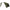 Acoperis Cort Avid Exo+ Rv Storm Cap Wrap, 140x270x230cm