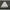 Adapost Plasa Anti Tantari Coghlans C9770 Travellers