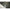 Adapost Prologic C Series Tip Umbrela 220x57cm