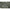 Adapost Prologic C Series Tip Umbrela 250x65cm