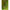 Adapost Tip Umbrela Korum Pentalite Quick Brolly, 180x220x150cm