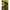 Adapost Tip Umbrela Korum Pentalite Quick Brolly, 180x220x150cm