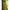 Adapost Tip Umbrela Korum Pentalite Quick Brolly, 180x220x150cm