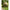 Adapost Tip Umbrela Korum Pentalite Quick Brolly, 180x220x150cm