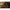 Adapost Tip Umbrela Korum Progress Graphite Brolly 135x210cm