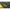 Adapost Tip Umbrela Korum Progress Graphite Brolly 135x210cm