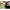 Adaptor Black Cat Mini Deadbait Puncher, 20.8cm, 1buc/pac