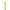 Adaptor Prindere Saci Pastrare RIDGE MONKEY ProCare Nite Glo Retention Hub