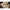 Atractant Korda Goo Scopex Cream Smoke 115 Ml