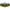 Atractant Lichid Csl Booster Promix, Squid-octopus, 500ml