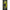 Avertizor Carp Academy V-head