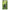 Avertizor Spro C-tec Clip On, Blue