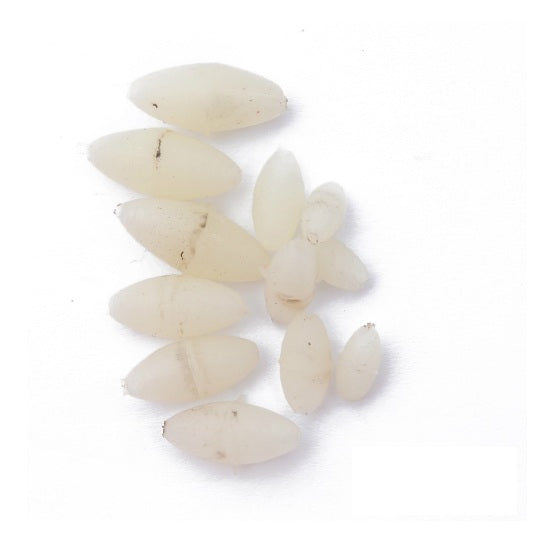BILUTE MOSTIRO LUMINOASE OVALE 4,5,6,7 MM