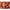BOILIES SOLAR SHELF-LIFE BOILIES 15MM QUENCH 5KG