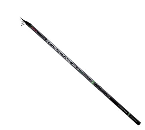 BOLOGNESA TRABUCCO Attractive Bolo Allround 6.00m