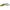 Broasca Artificiala Daiwa Soft D-poper Frog 6,5cm Verde 14g