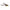 Broasca Jaxon Magic Fish Mini 2.8cm 3.6gr A