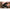 Bac Korda Compac Spooling