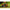 Bac Nada Guru Fusion Bait Pro Bucket, 10l