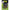 Bac Nada Matrix Moulded Eva Bowl 7.5l