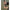 Baston De Nadire Avid Extremity Throwing Stick, 22mm, 80cm