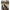 Baston De Nadire Avid Extremity Throwing Stick, 22mm, 80cm