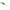 Bat Luminos cu LED Coghlans Lightstick Verde