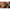 Baton Pluta Korda Cork Stick 6mm, 10buc/pac