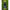 Benzi Matrix X-stretch Rod Bands X2