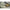 Bilute Antisoc Korum Camo Quick Change Bead - Bolt, 8buc/plic