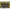 Bilute Antisoc Korum Camo Quick Change Bead L, 8buc/plic