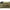 Bilute Antisoc Korum Camo Quick Change Bead S, 8buc/plic