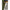 Bilute Cauciuc Fox Edges Naturals Tapered Bore Beads 6mm, 30buc/pac