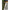Bilute Cauciuc Fox Edges Naturals Tapered Bore Beads 6mm, 30buc/pac