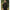 Bluza Uv Korda Kool Upf Zip Jersey, Dark Kamo, Marimea L