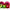Boilies Cu Miez Lichid Nutrigo Rod Hutchinson, Monster Crab, 20mm, 200ml