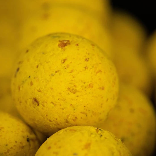 Boilies Mainline Shelf Life, Essential Cell, 10mm, 1kg