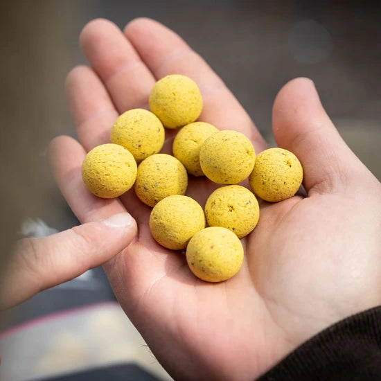 Boilies Mainline Shelf Life, Essential Cell, 10mm, 1kg