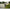 Borseta Fox Rage Camo Voyager Belt Carryall, 28x15x19cm