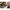 Brat Korum Xs Rod Support Feeder Arm, Black
