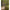 Brat Mikado Feeder Quad Double, 60cm
