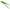 Broasca Jaxon Magic Fish Frog 05b, 5cm, 10g