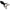 Broasca Live Target Freestyle Frog Unrigged, Black / Black, 7.5cm, 2buc/pac