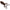 Broasca Live Target Freestyle Frog Unrigged, Brown / Black, 7.5cm, 2buc/pac