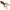Broasca Live Target Freestyle Frog Unrigged, Tan / Brown, 5cm, 4buc/pac